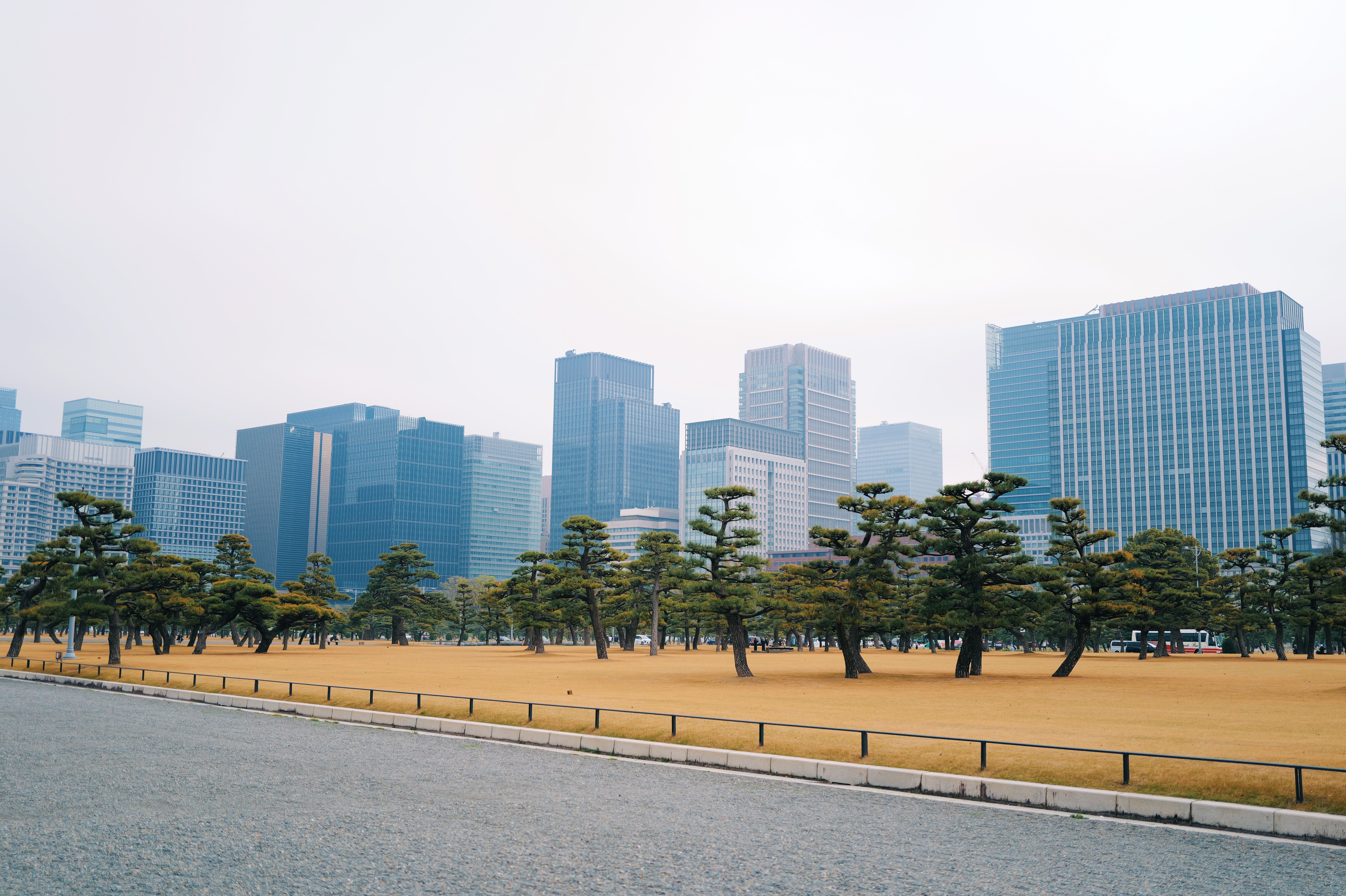 Skyline of Tokyo city with trees from Kokyo Gaien National Garden, perfect for urban travel themes.