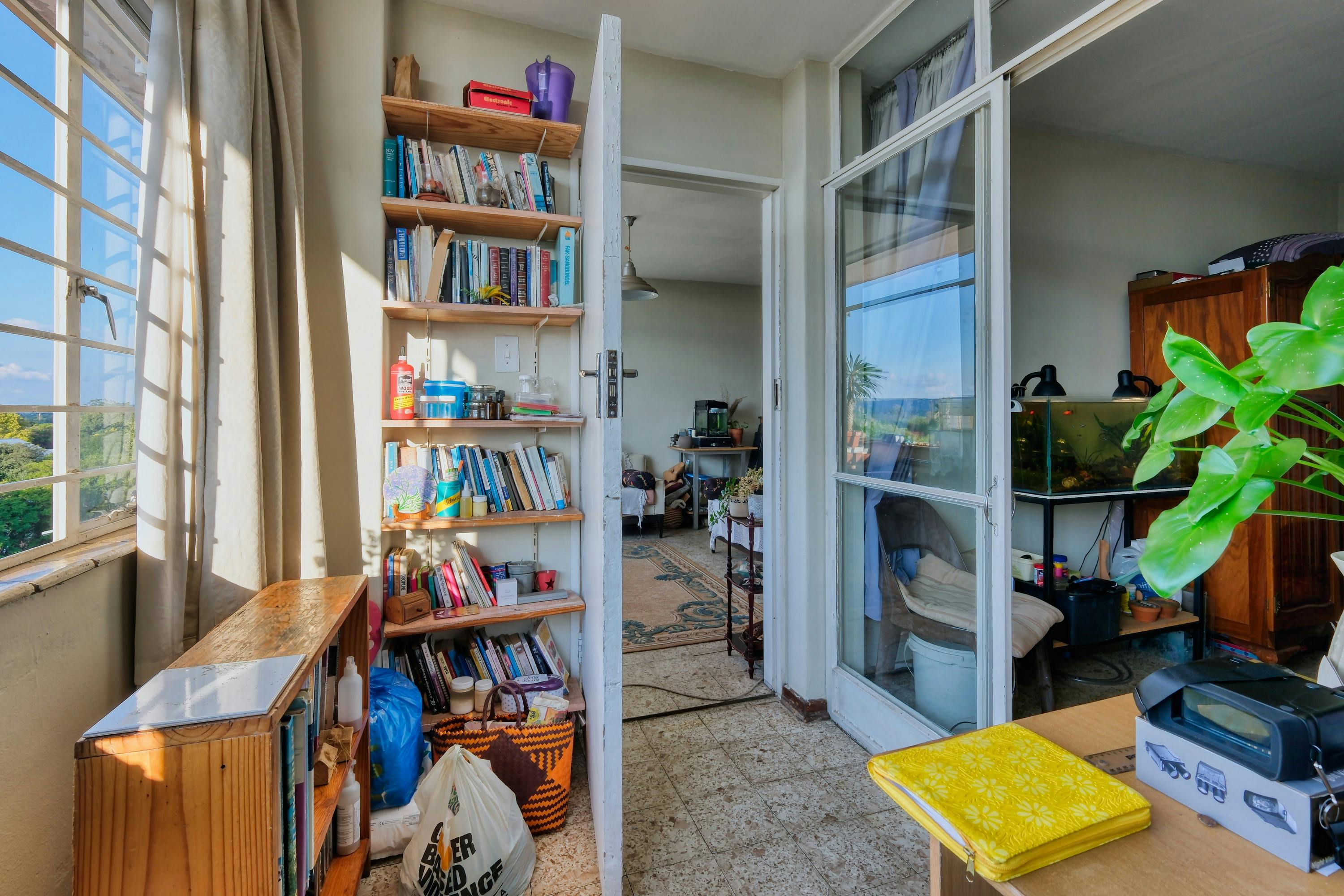 Why Do Dogs Have Wet Noses? Discover the Fascinating Reasons! 8 Understanding the Anatomy: How Dogs’ Noses Stay Moist and Functional