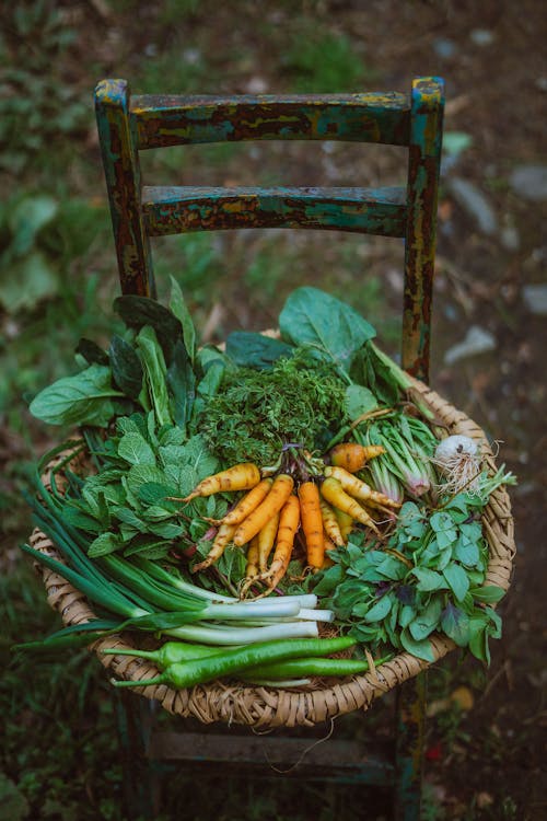 Fresh Vegetables and Herbs Lying on an Old Wooden Chair