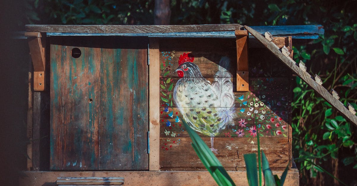 Drawing of a Hen on a Wooden Chicken Coop