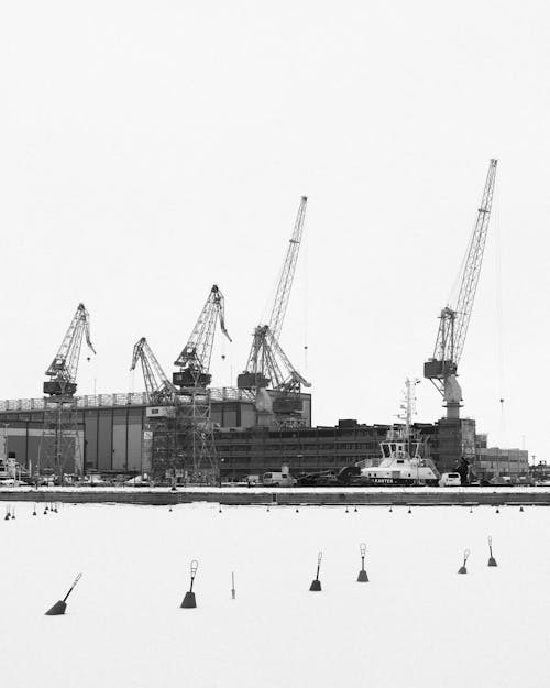 Black and white photo of cranes in the snow