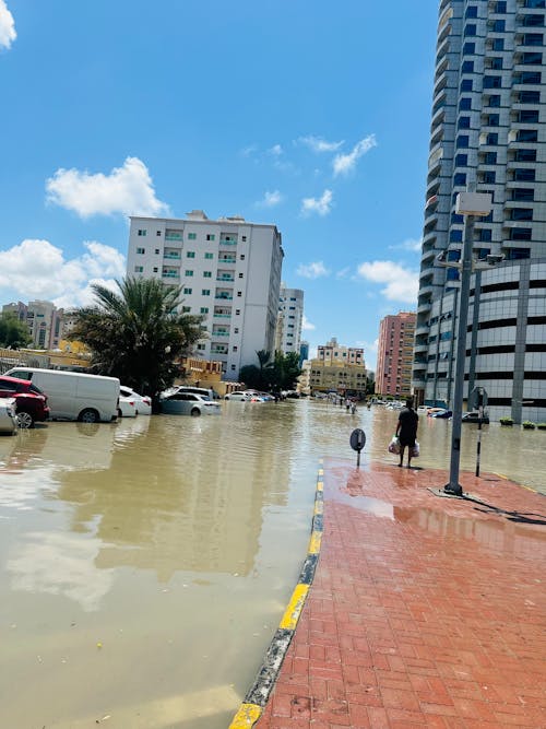 寒波, 雨上がりの無料の写真素材