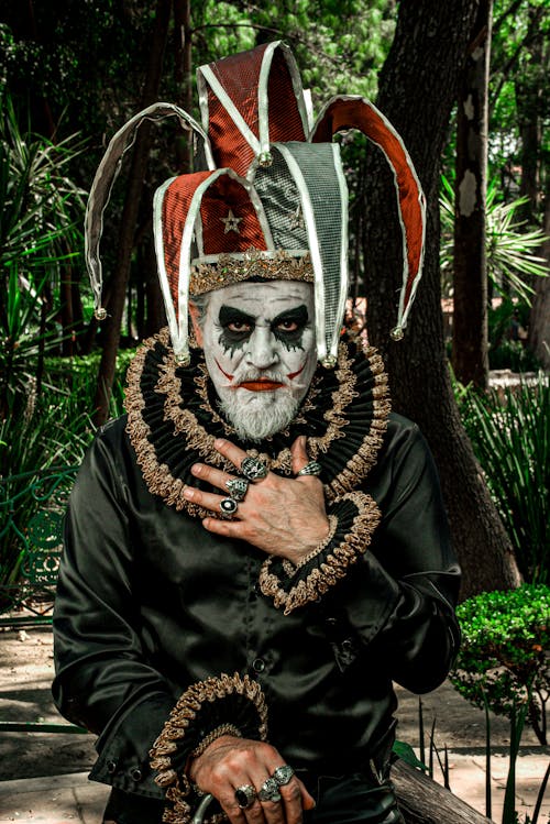 Ingyenes stockfotó a dzsungel királya, álló kép, arc témában