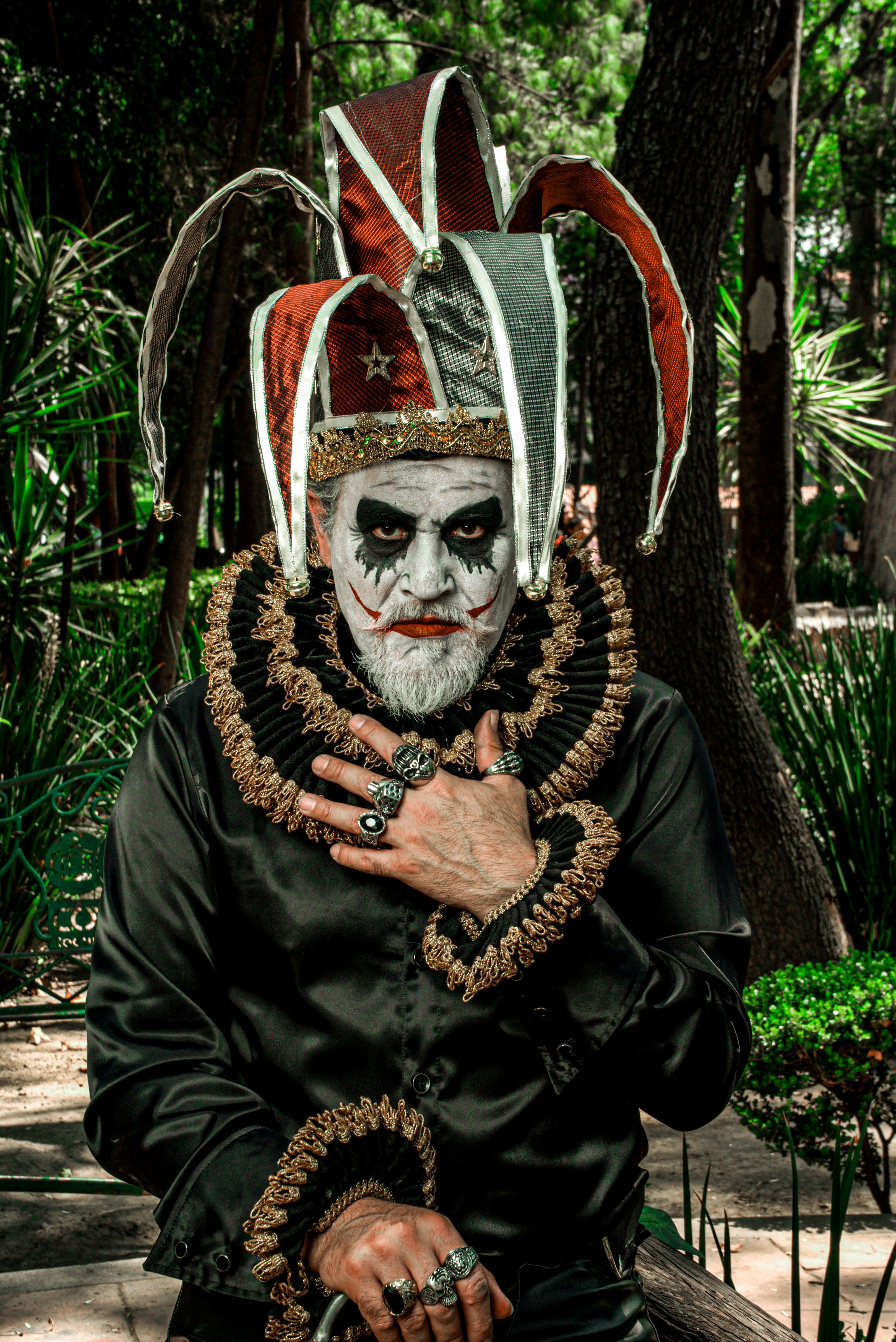 Rey Bufon · Foto de stock gratuita