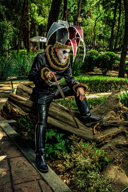 Real Buffoon Photo of a Man in a Buffoon Costume Posing in a Park · Free Stock Photo