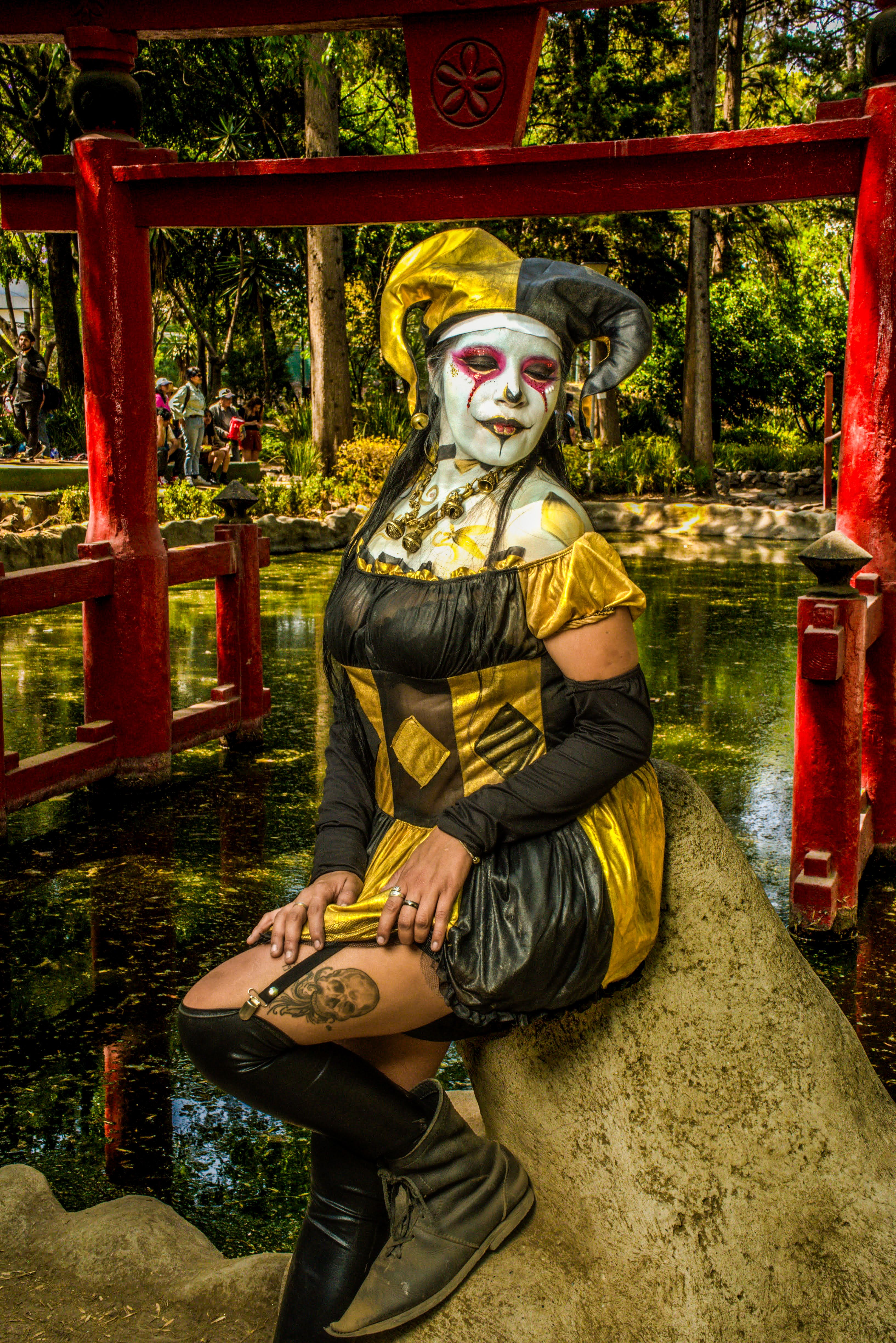 Woman in Jester Costume Sitting on Rock in Japanese Garden in Park ...