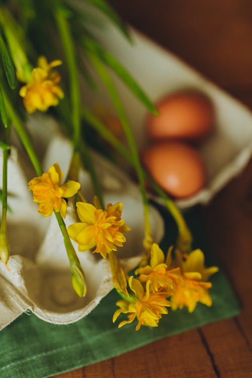 Daffodils and eggs in a carton on a table