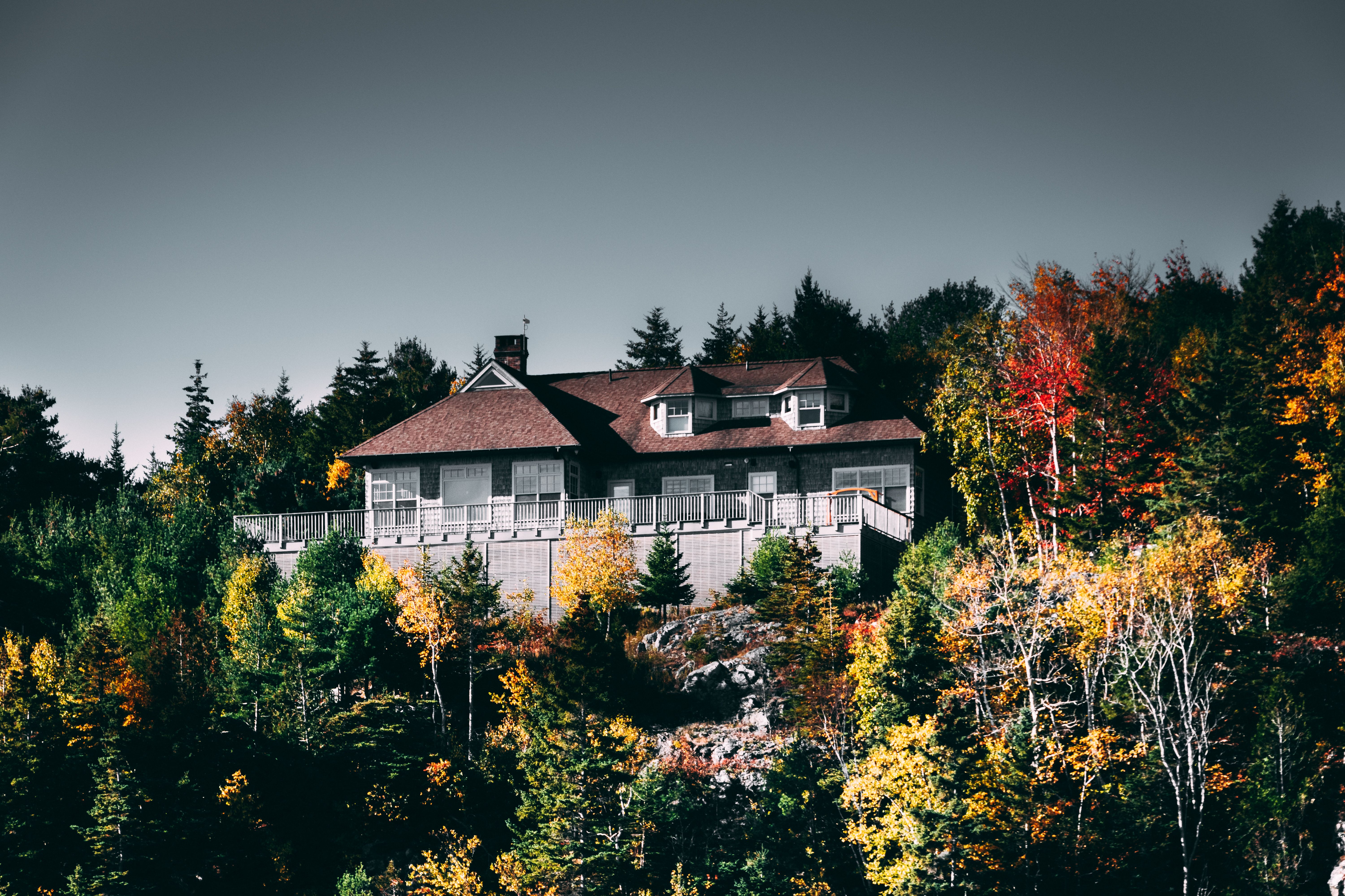 Photo Of A House Surrounded By Trees Free Stock Photo photo-of-a-house-surrounded-by-trees-free-stock-photo