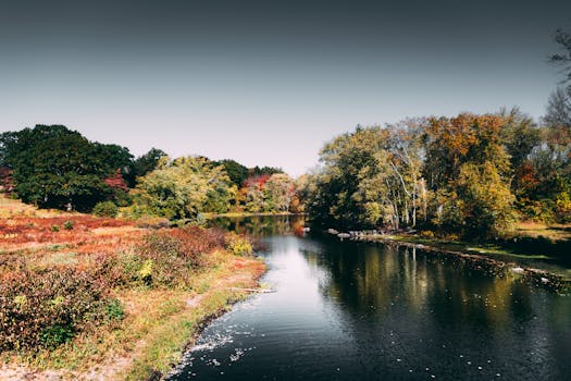 平静的水中倒映着宁静的河景与充满活力的秋叶