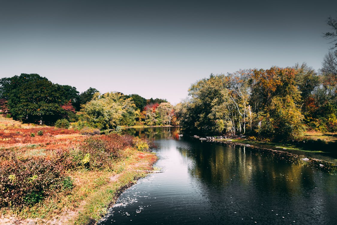 Photo of River During Daytime