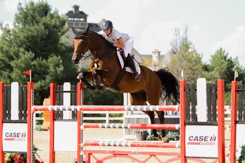 Person Riding Horse