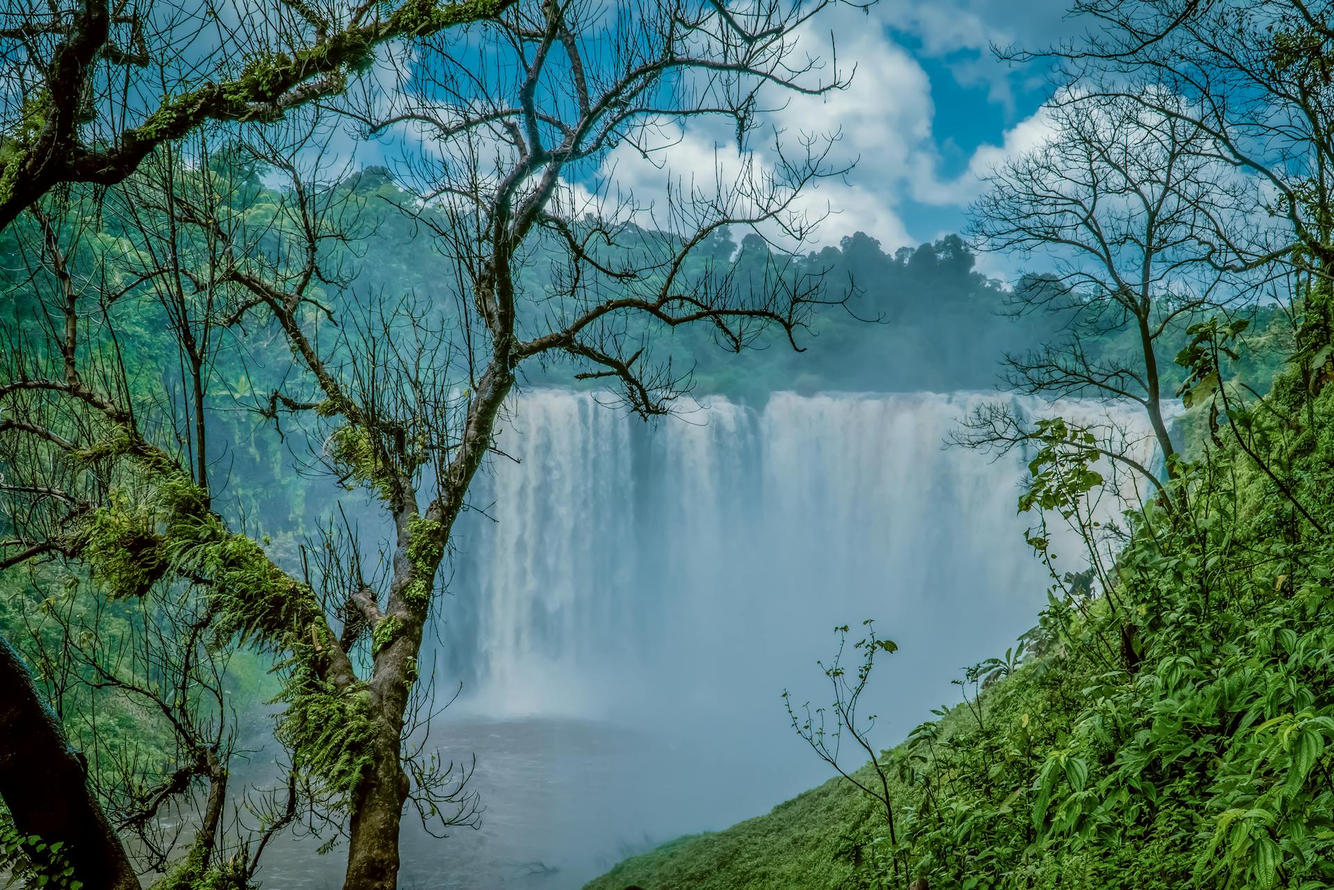 Stunning waterfall in Ethiopia's Oromia region, surrounded by lush green forest. Perfect for nature lovers.