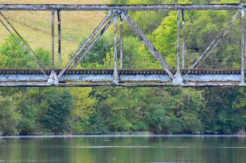 ağaç, ağaçların arasında köprü, ağaçlarla kaplı demiryolu içeren Ücretsiz stok fotoğraf