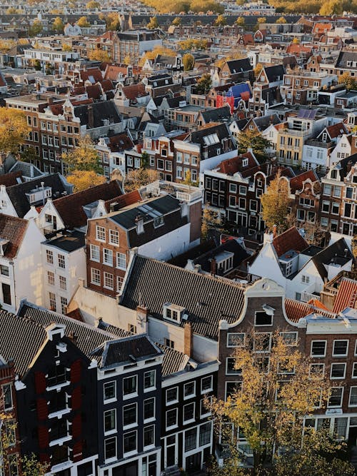 L'automne à Amsterdam