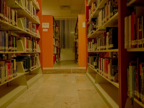 Free stock photo of book shelf, books, central library
