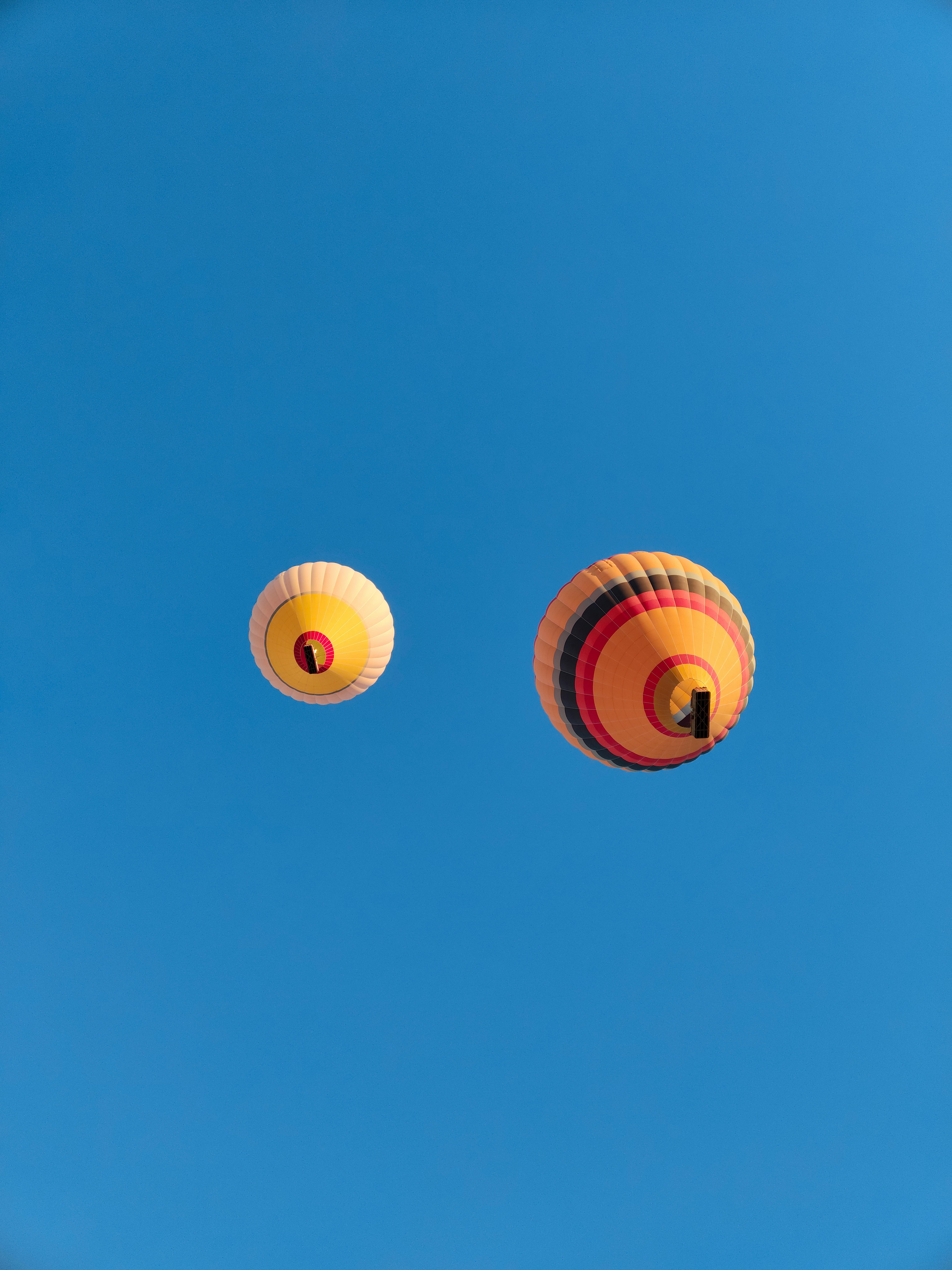 Vibrant hot air balloons soar high in a clear blue sky, capturing the essence of freedom and adventure.