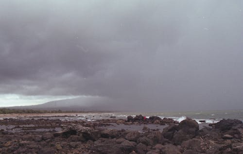 Free stock photo of beach, blue, brine