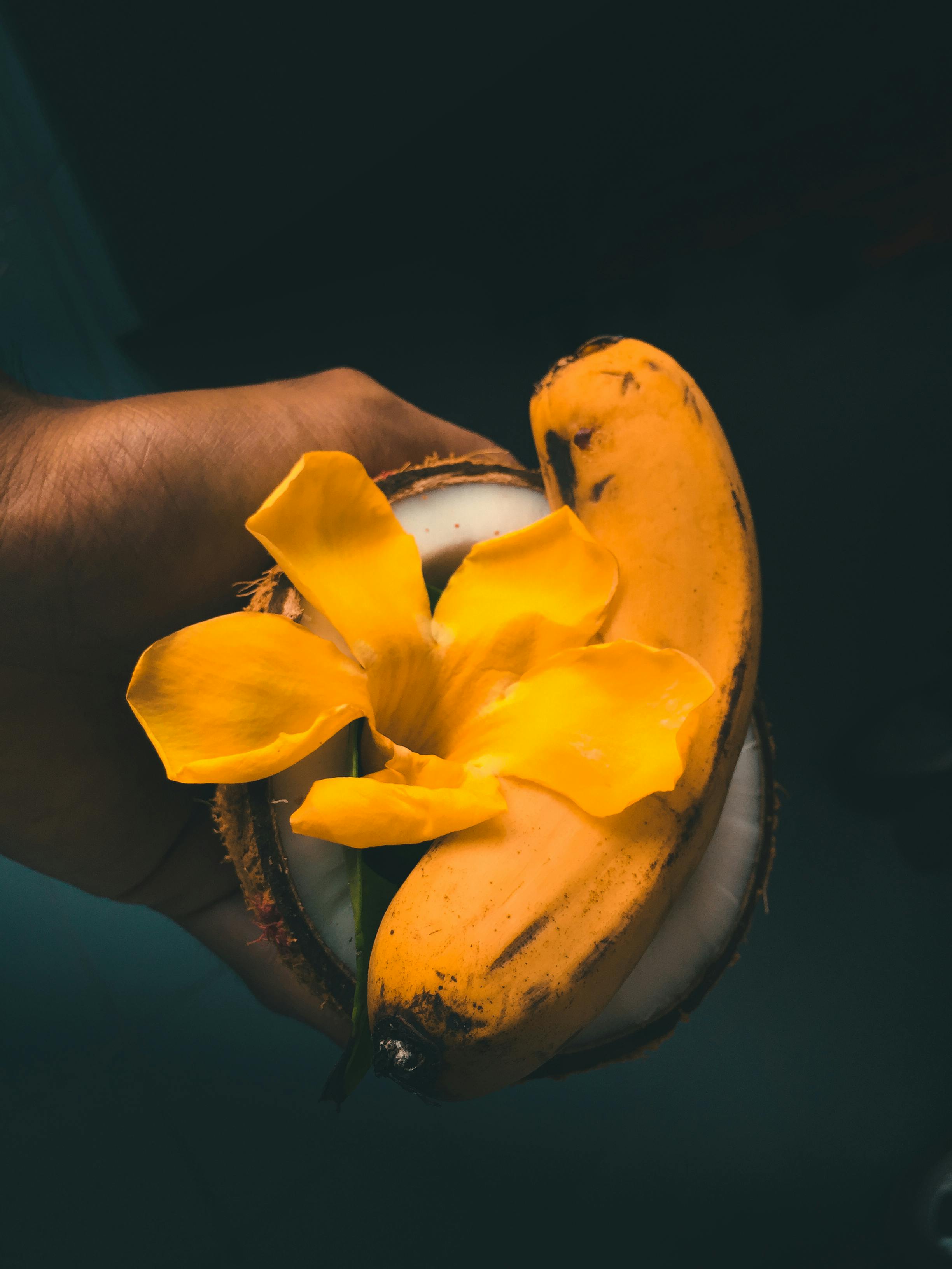 Close-up of a hand holding a banana, coconut, and yellow flower under daylight.