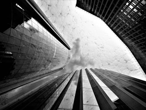 무료 고층 건물의 그레이 스케일 사진 스톡 사진