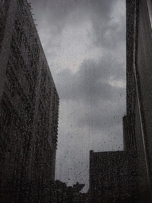 Ilmainen kuvapankkikuva tunnisteilla ikkuna, märkä, sade