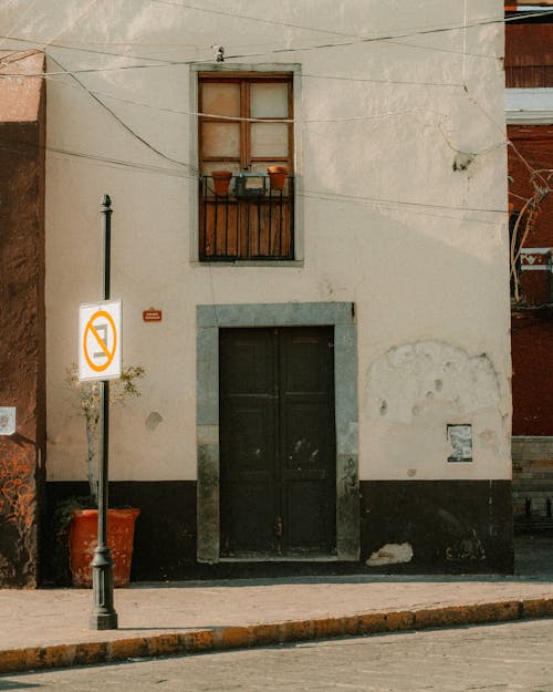 Foto profissional grátis de alameda, ao ar livre, aparência