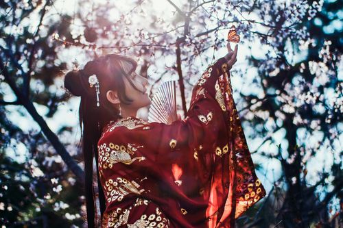 Free A woman in traditional Chinese attire interacts gracefully with a butterfly amidst blooming cherry blossoms. Stock Photo