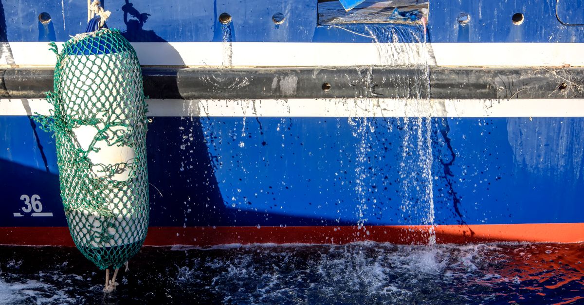 How does buyer-paid shipping protection work at checkout?