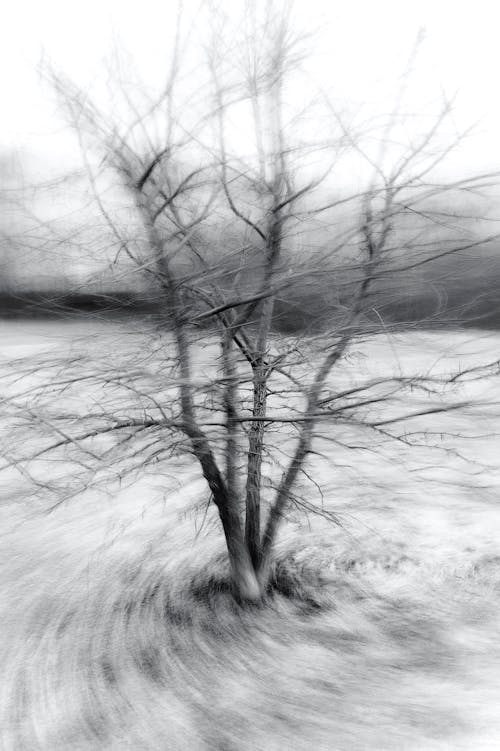 Kostnadsfri bild av abstrakt, dimma, ensam
