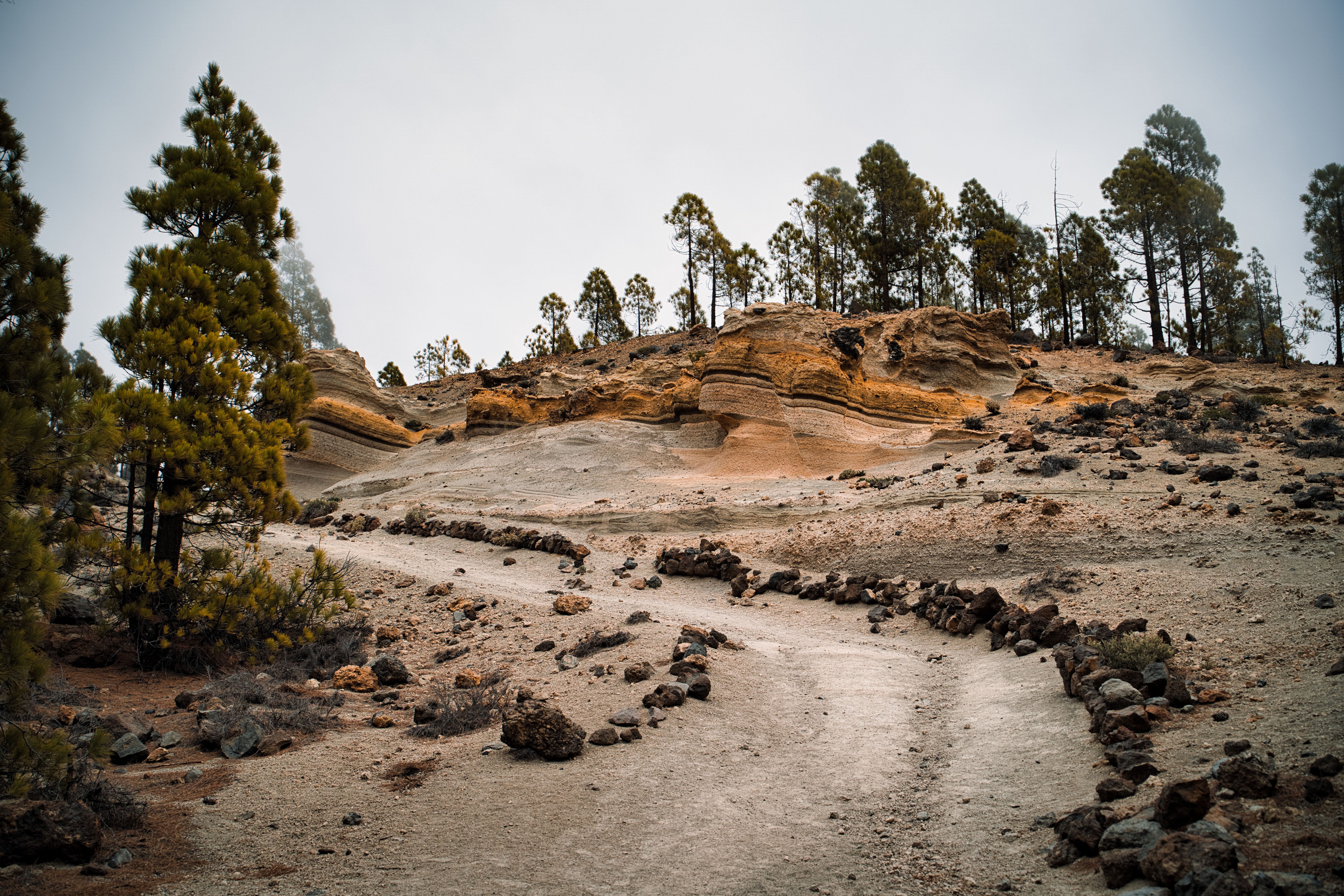 Desert de les Palmes Natural Park