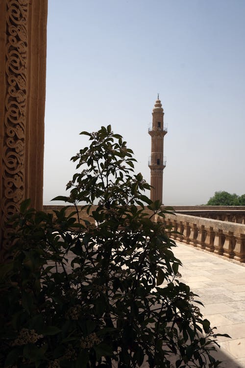 Photos gratuites de grande mosquée, maison des vieux jours, maison en pierre