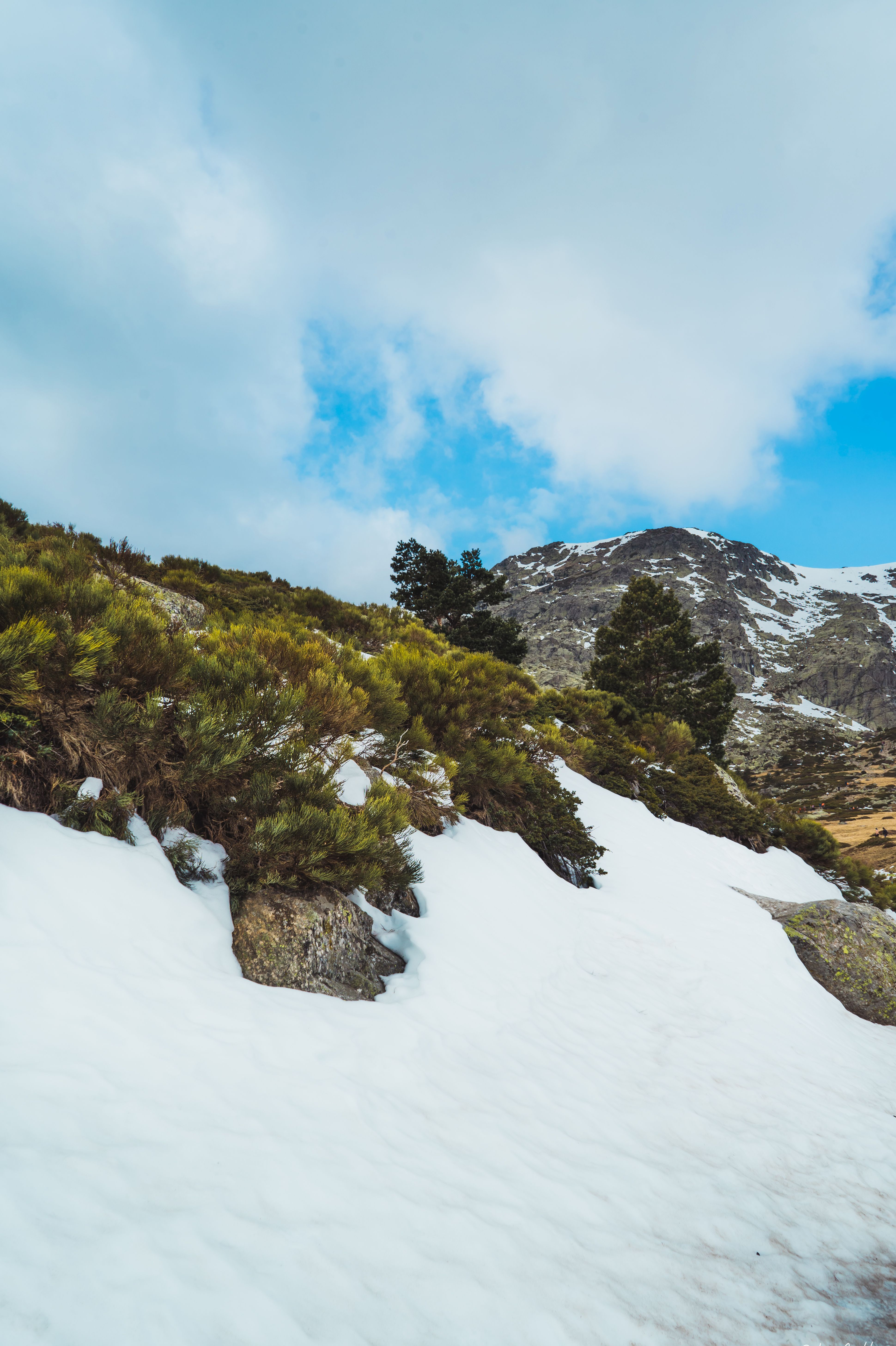 Picturesque snowy mountain scenery in Madrid. Vibrant greenery and a bright blue sky enhance the winter landscape.
