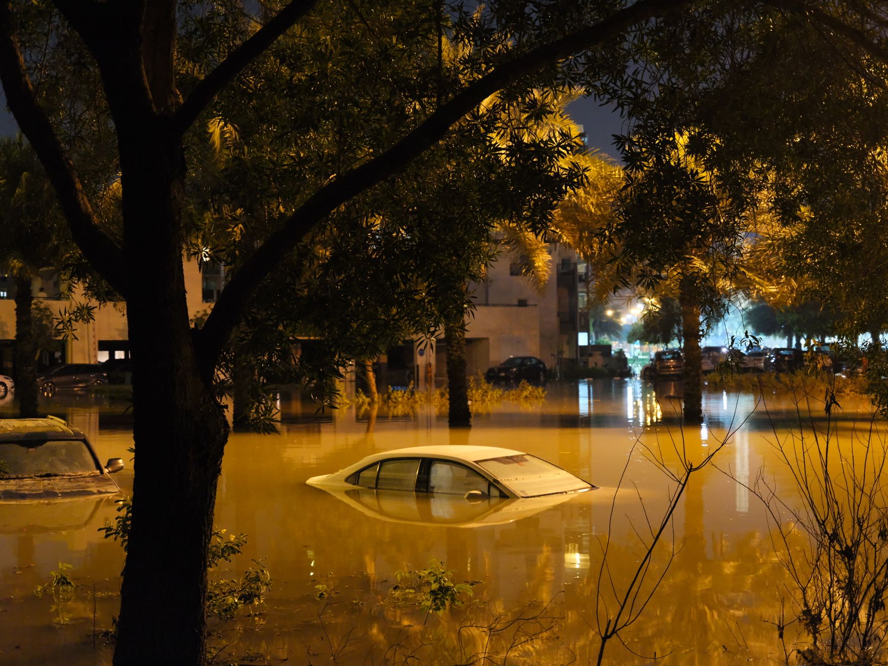 Kind bevrijd uit auto te water in Vroomshoop