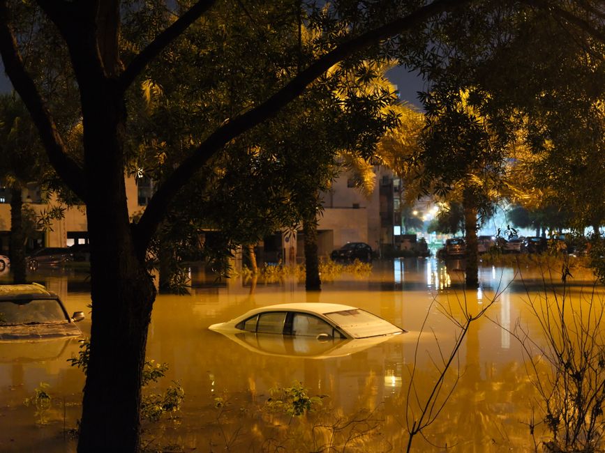 Photo by Alfredo Marco Pradil A dramatic scene of submerged cars in a flooded street surrounded by trees at night.