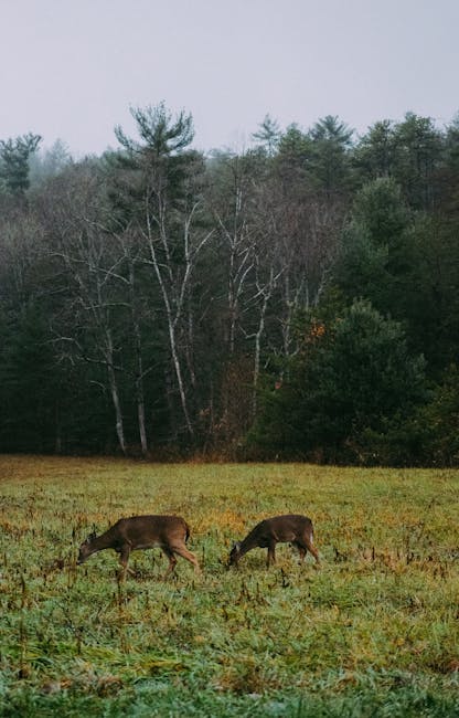 정승환 Stand-up Comedy