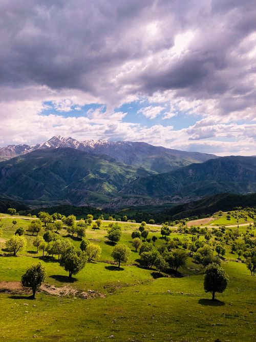 Free A breathtaking view of lush green hills and distant snow-capped mountains under a dramatic sky. Stock Photo