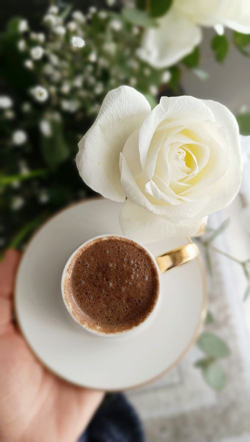 Free A top-down view of a coffee cup with a white rose on a saucer, creating a peaceful ambiance. Stock Photo