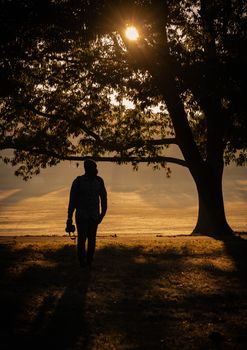 A silhouette of a person walking under a tree at sunset, capturing a tranquil and serene atmosphere.