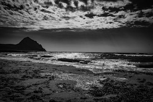 Grayscale Photography of Beach