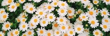 Free Stock Photos Royalty Free Stock Images Copyright Free Pictures Free Stock Photos Royalty Free Stock Images Copyright Free Pictures