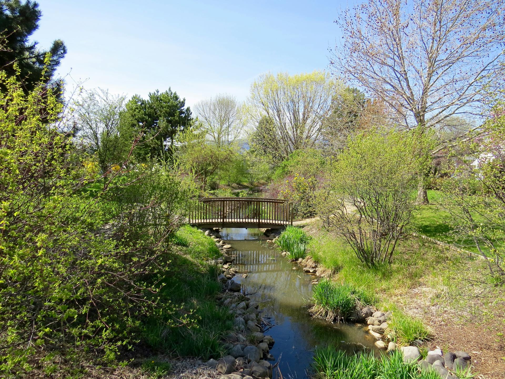 Tranquil park scene with a wooden bridge over a clear stream surrounded by lush spring foliage.