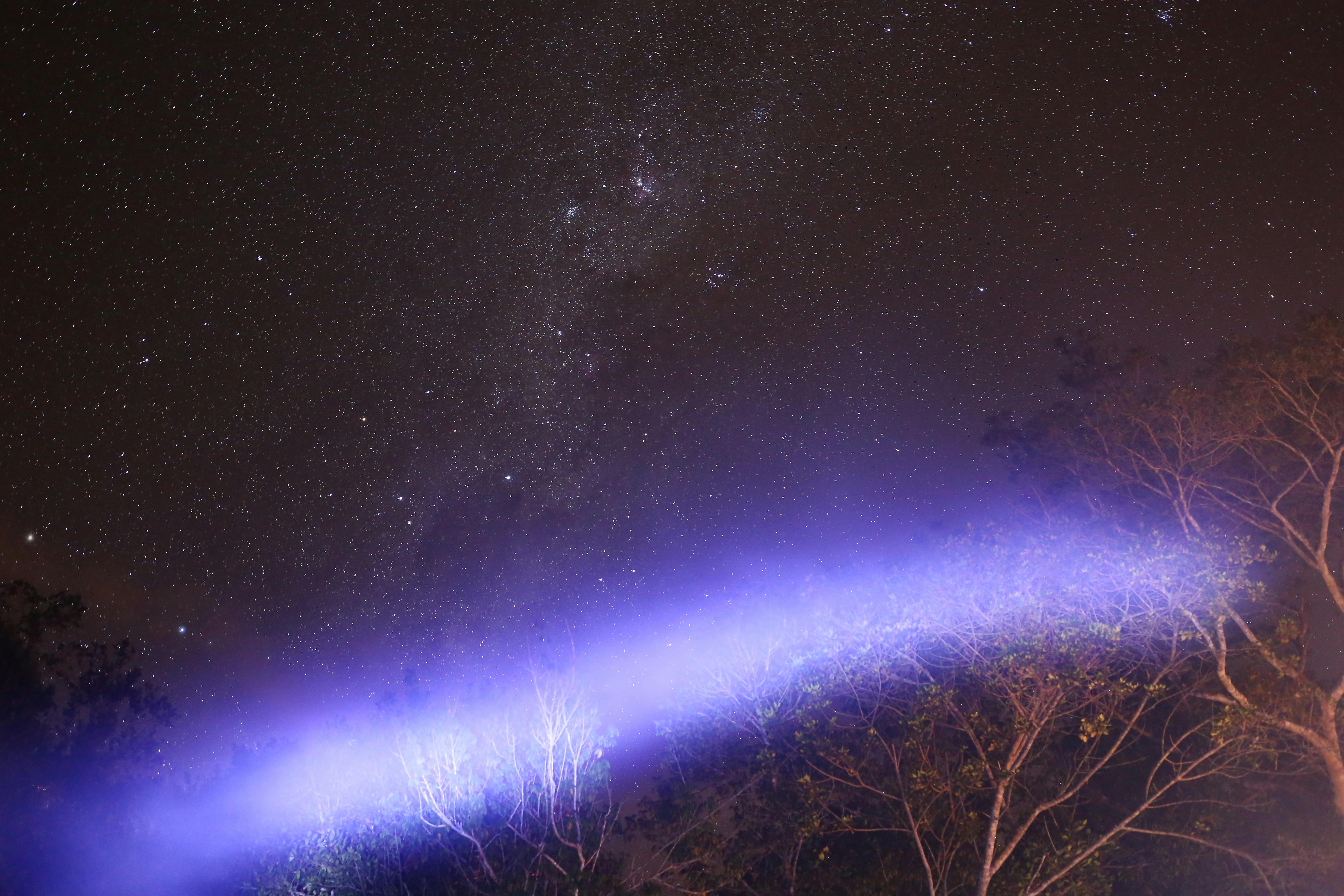 Free stock photo of Dark Sky, evening, forest