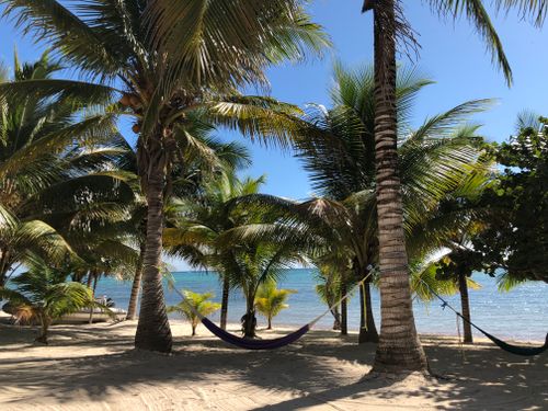 Free stock photo of akumal, beach, hammock Stock Photo