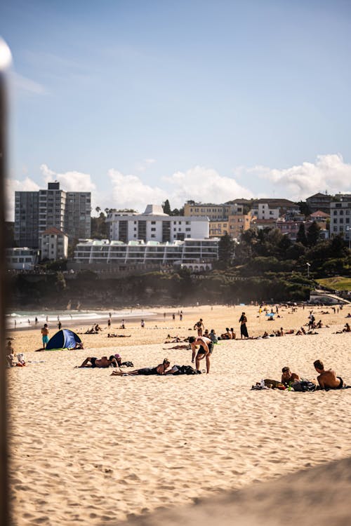 Foto profissional grátis de bondi, esporte, oceano