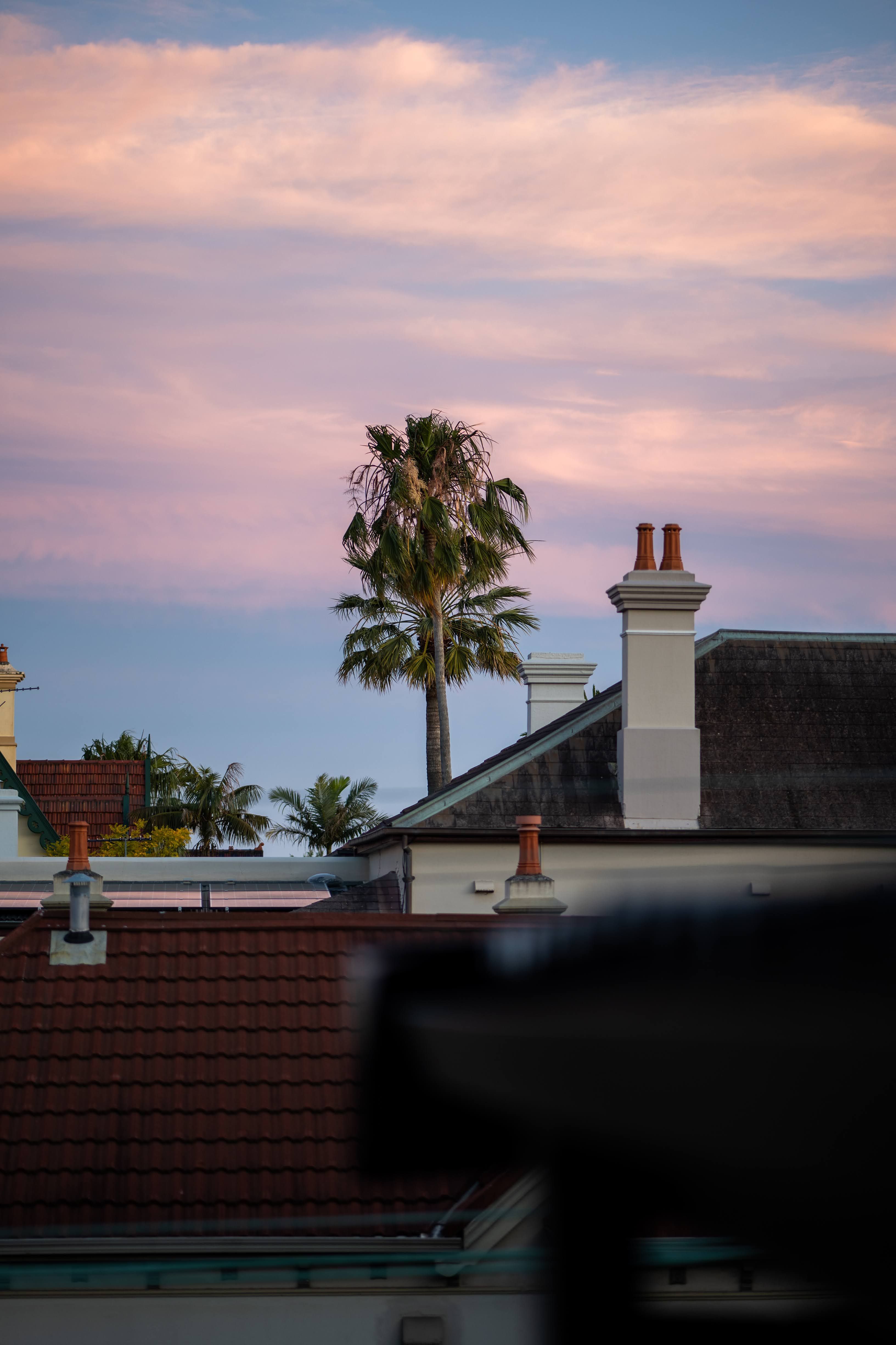 Australia’s affordable suburbs vanish as homes under $500,000 become nearly extinct - realestate.com.au