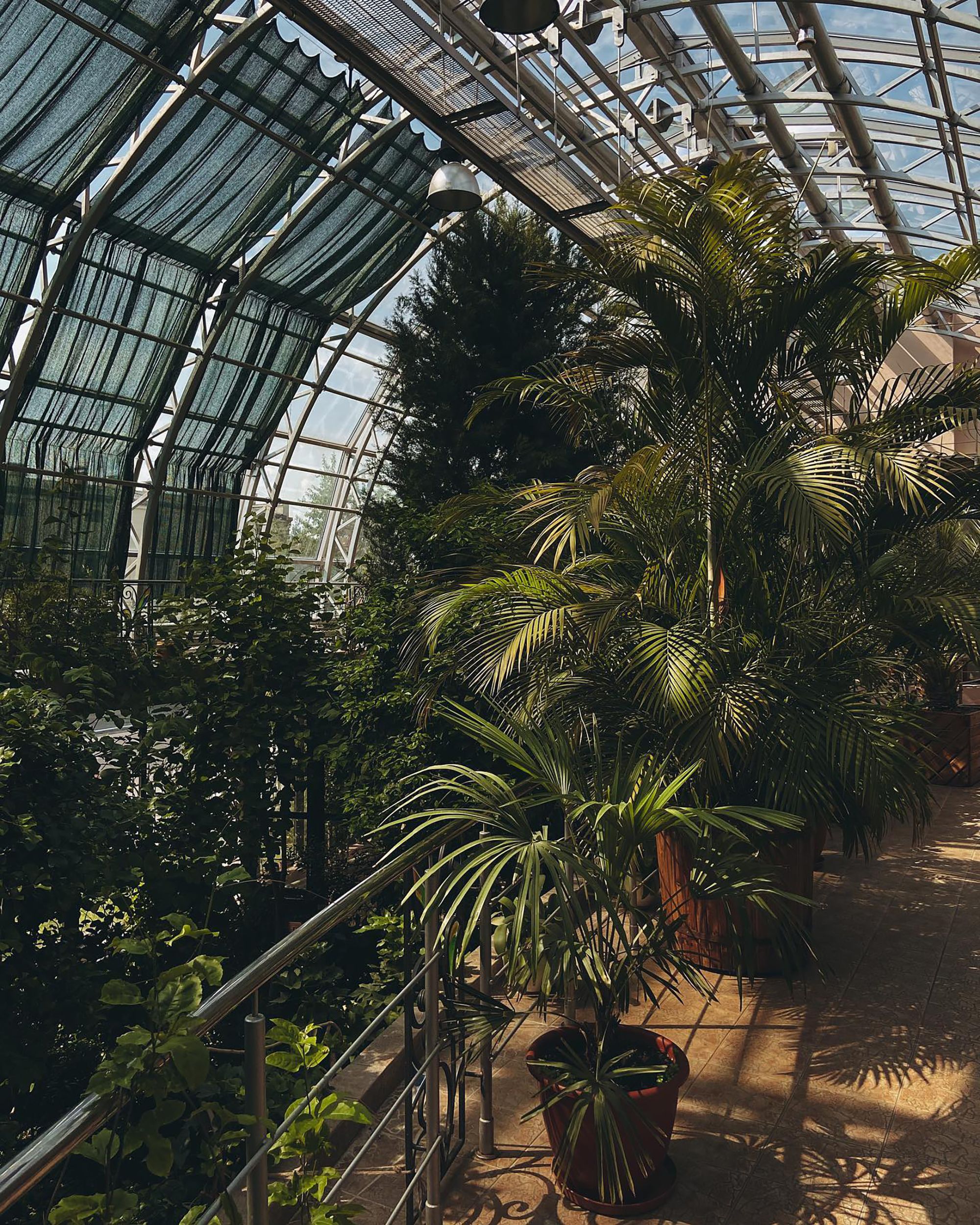 Botanical Garden Greenhouse Interior · Free Stock Photo