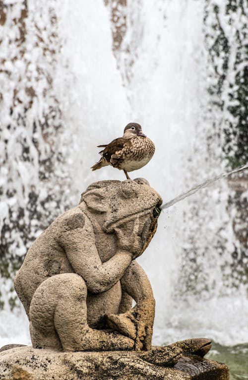 A statue of a monkey and a duck sitting on top of a fountain