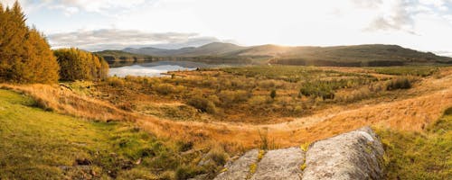 Free stock photo of forest park, galloway, lakes Stock Photo