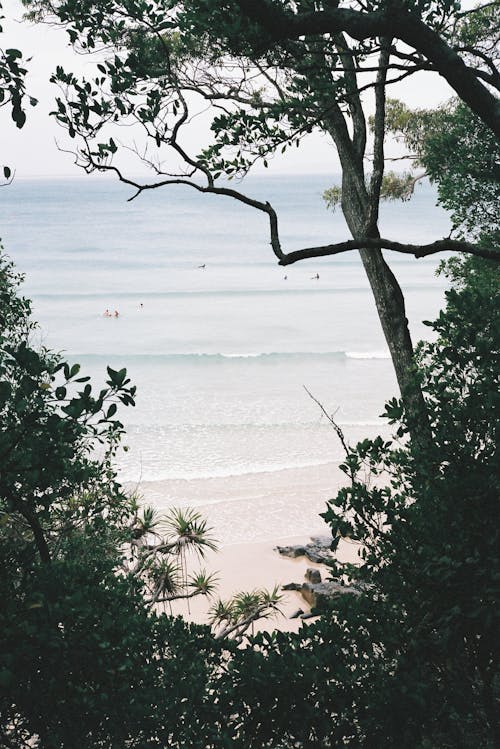 A view of the ocean from a beach