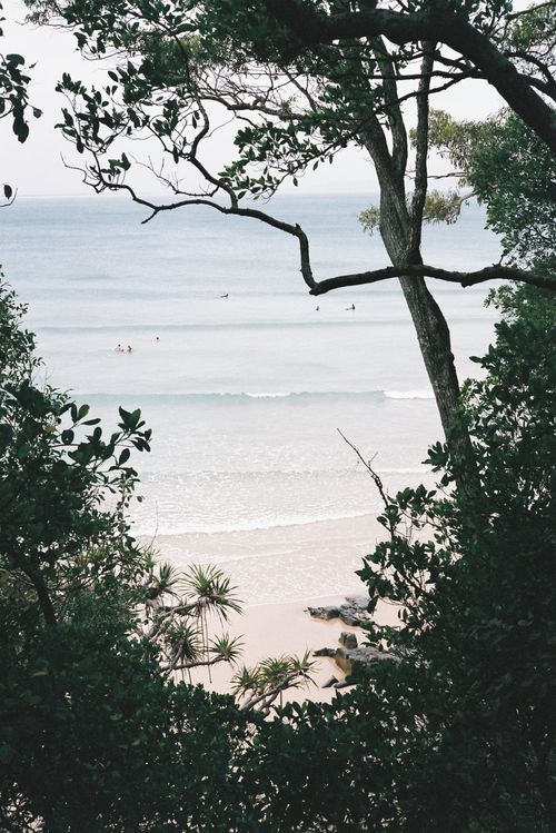 Free Tranquil beach view framed by leafy trees, gentle waves and horizon. Stock Photo