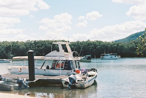 A boat docked at a dock with trees and water